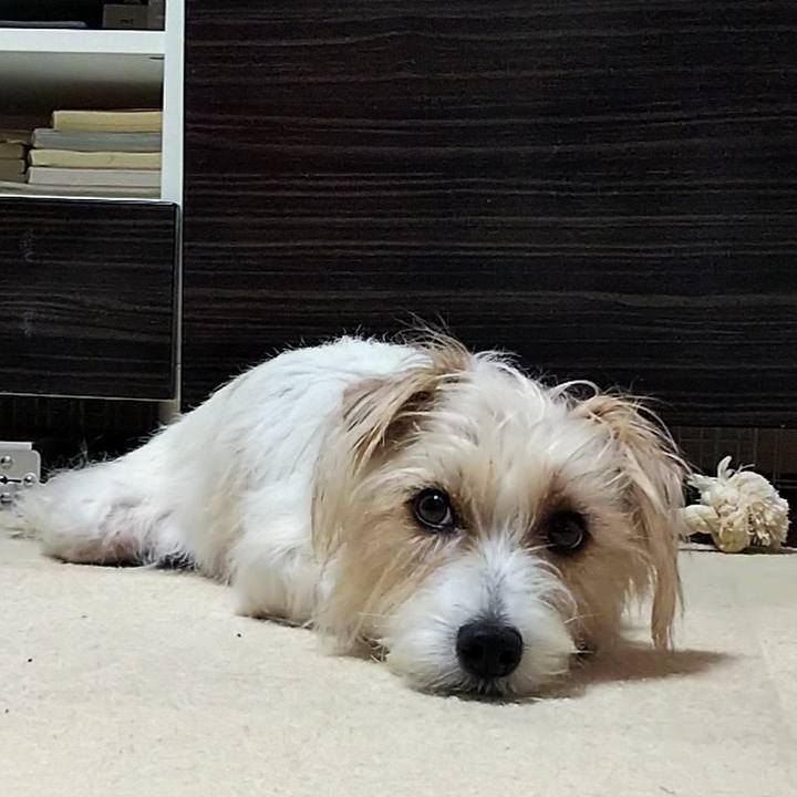 F4701552 de8d 4647 9f4c 4ed3cb7bb2e1 1599651901513