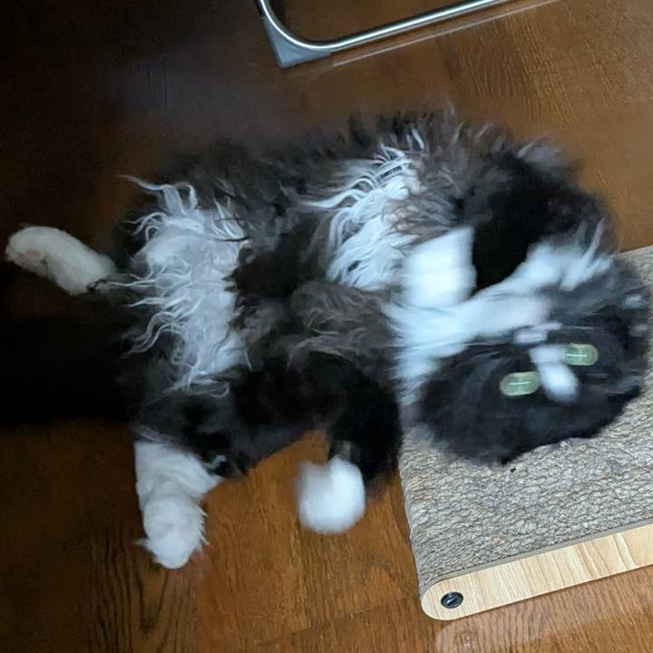 F4701e1d ecc6 4aa0 a375 316bf20d9b03 1751202502873