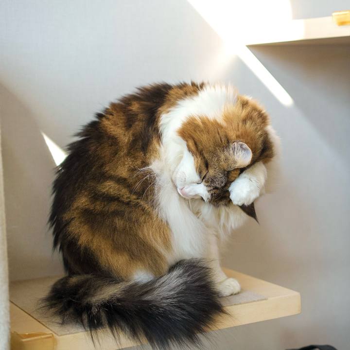 F4705977 62ee 4e42 9399 b71856b087c0 1769581653420