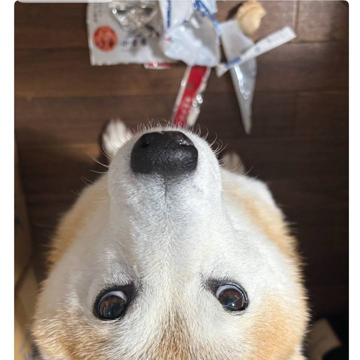 F4707586 2c10 449f 89f1 65bd80c73138 1736807267113