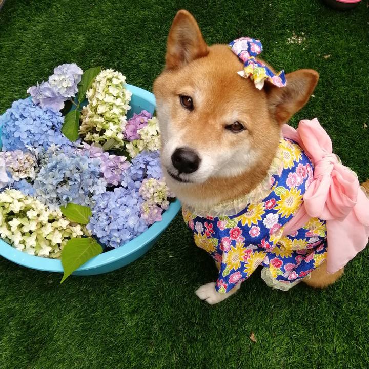 F470856a ce36 49af b10a 959e79660740 1593737779286