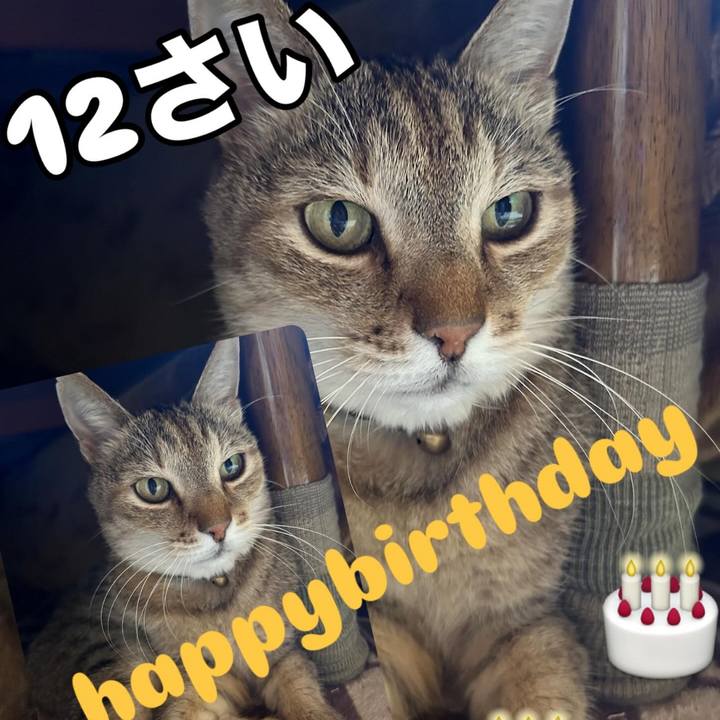 F470ee83 dcb1 4305 9db7 c2e77185a326 1741417834376