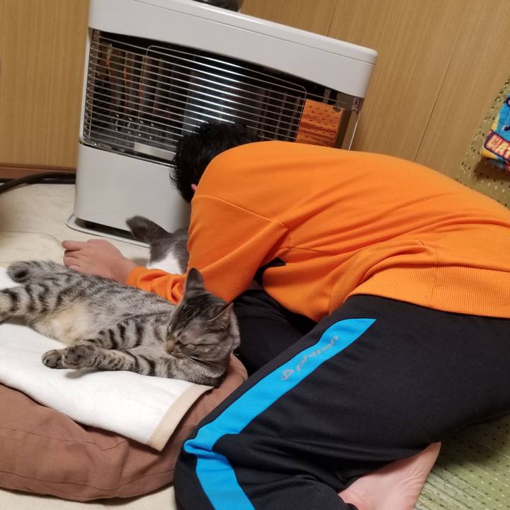 F4712586 6c8d 4ea2 b100 5f1b0c290e1b 1681320186164