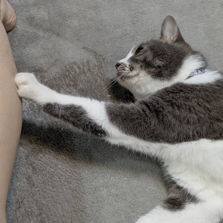 F47134b9 5b97 469b 9dea acdb2011f265 1752588893878