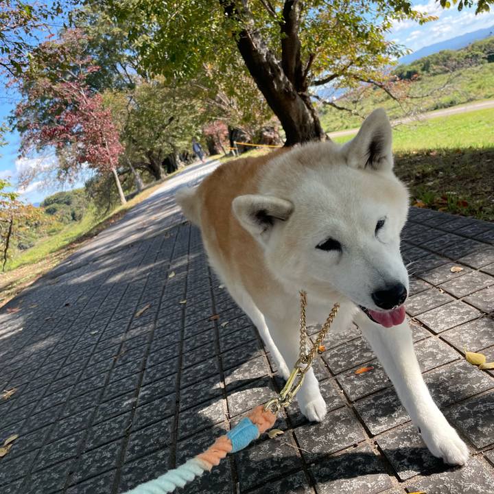 F471484a a567 4ee7 9bff de64898b0343 1667713919678