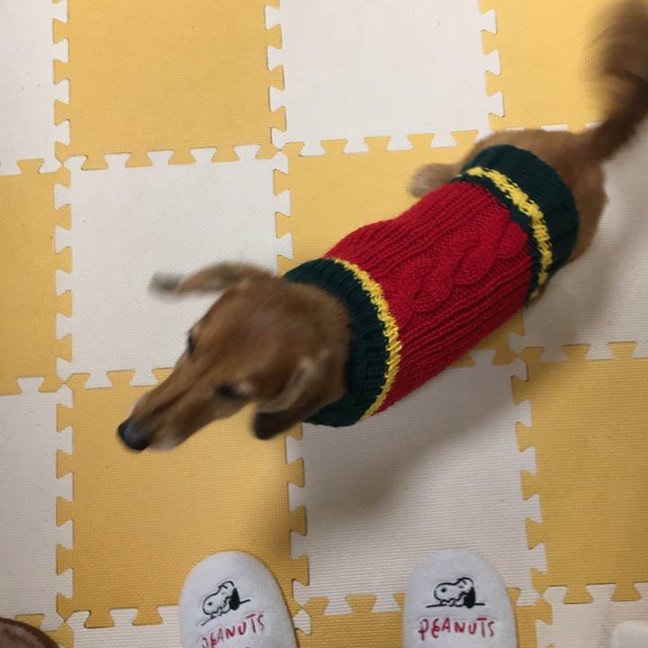 F4716810 0c11 4947 8b9e 6f8a3ae102e5 1578667909454