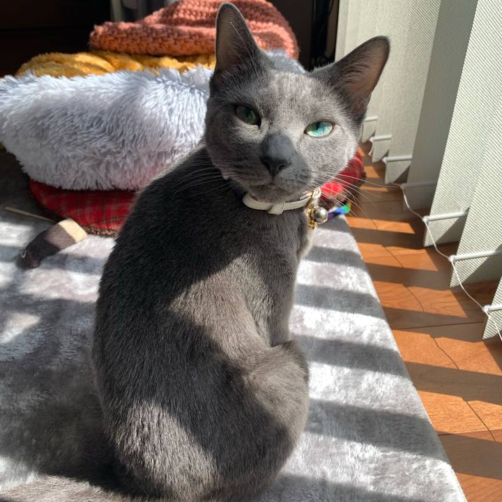 F4716ce8 1ce4 4974 bfe1 c1a3966e93cc 1646537309093