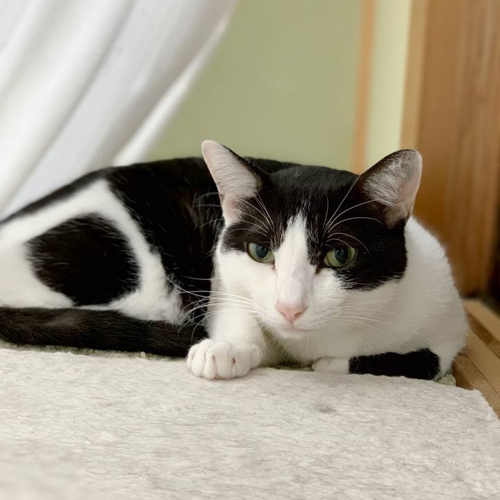 F47179d5 2d00 4d87 92b3 f401af410953 1538707746578