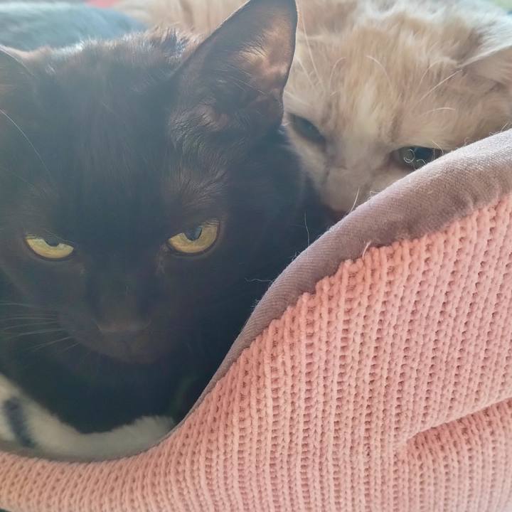 F4717b89 2246 4fd7 8b6a 1343201d2a8b 1705107589382