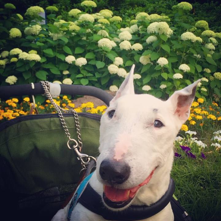 F47195c6 0d68 47b0 8582 c3e3770182bb 1528032201725