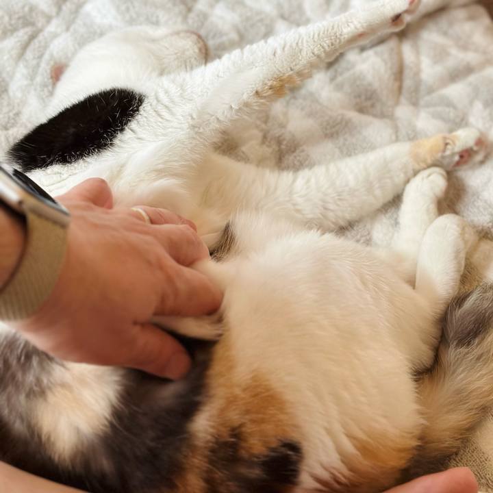 F471966d b6a1 4c1d 9e9c ca8227ff4d17 1720055365796