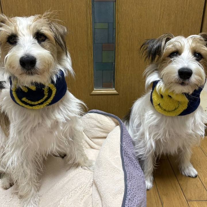 F471a2b4 8d97 4636 b900 c8a3950a9c72 1761563442677