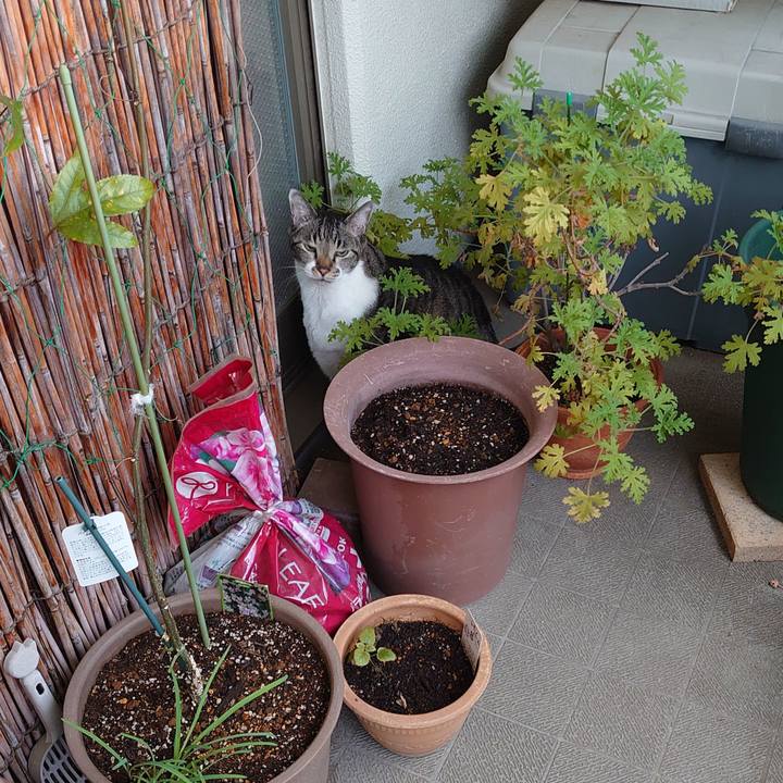 F471a2e9 a1f6 4802 bf78 014817cc9ddf 1730848232107