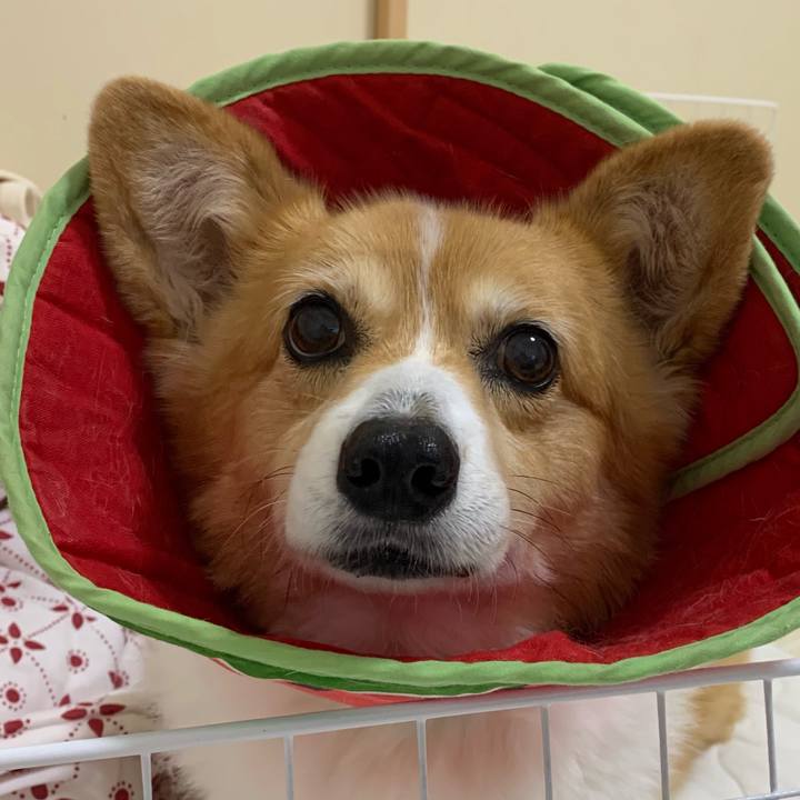 F47207d7 3883 4f3c b14f 71cd9012096f 1717249969289