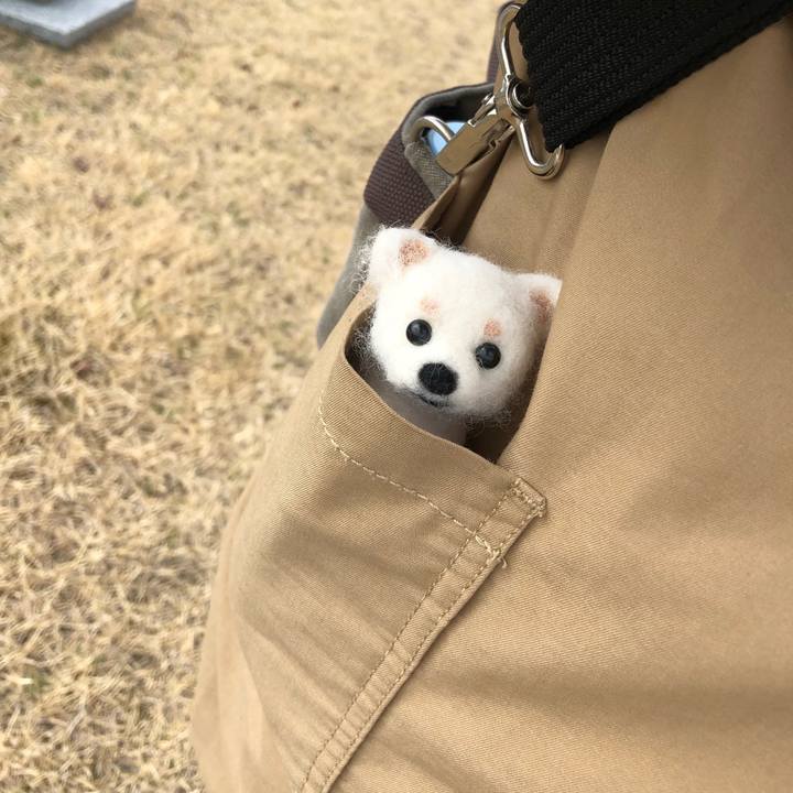 F4720fda d269 4049 a208 965b4b3a4e8f 1521637987308