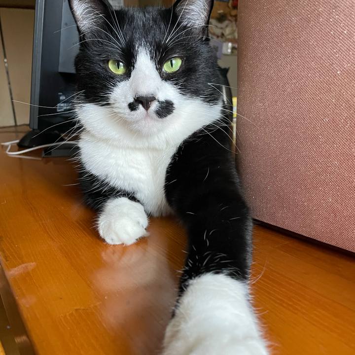 F4721b10 b3ee 4bf5 bfcf 4cba28619892 1664237721516