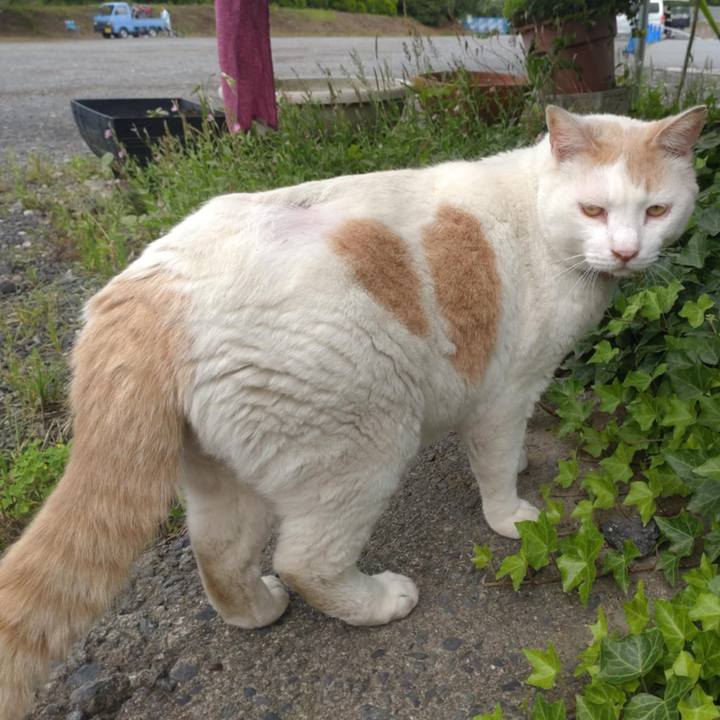 F4724d65 ba74 4ff7 a8bf d1fe85727050 1749778846209