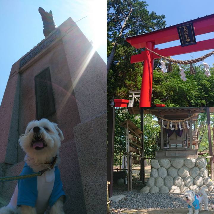 F4729fe8 0bdb 451c 8cf6 cd2a0d35e9c6 1651748069974