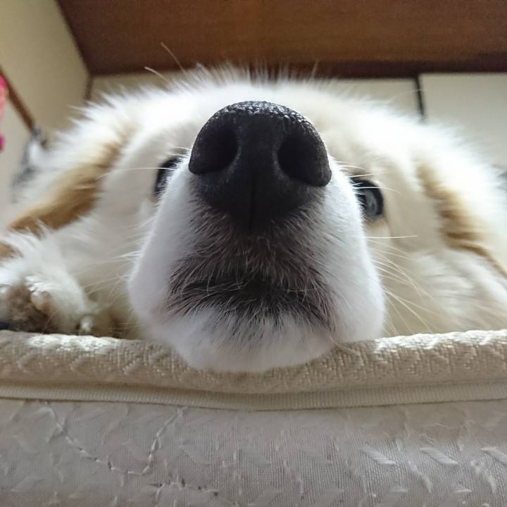 F472a481 9498 4d68 9ffd 53d5e27c670a 1526590923121