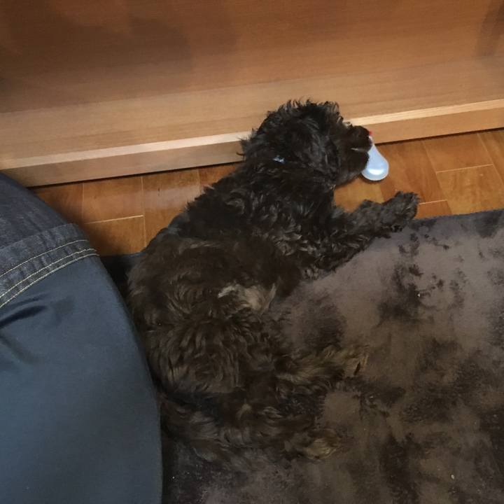 F472c4c3 e3a0 4991 97f4 0499fa5d28f3 1541676259220