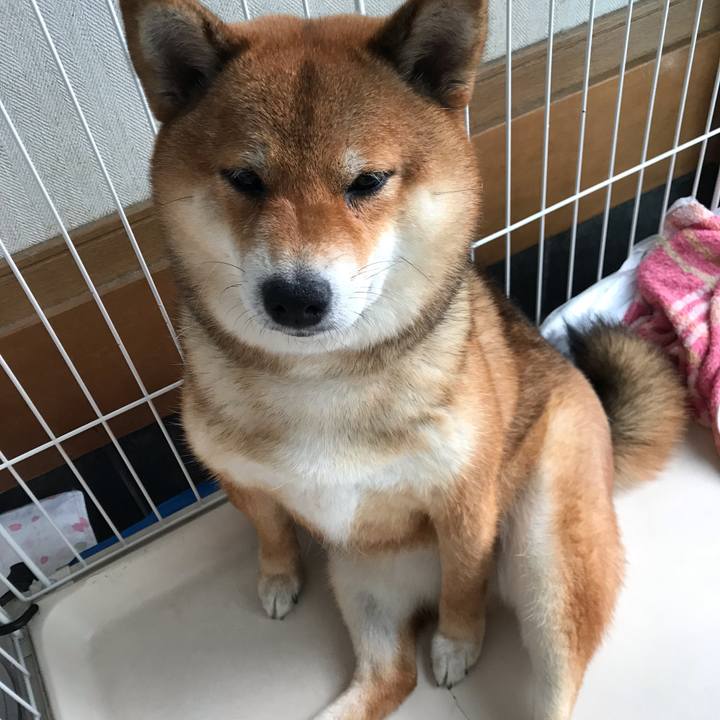 F472c9c1 9ff7 4338 8b9e c59a5b6c1e3f 1592783839751