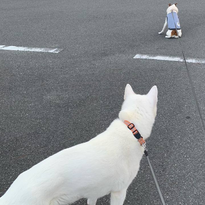 F4730653 2e30 4bce 8499 8a277fc6f8eb 1578096765611