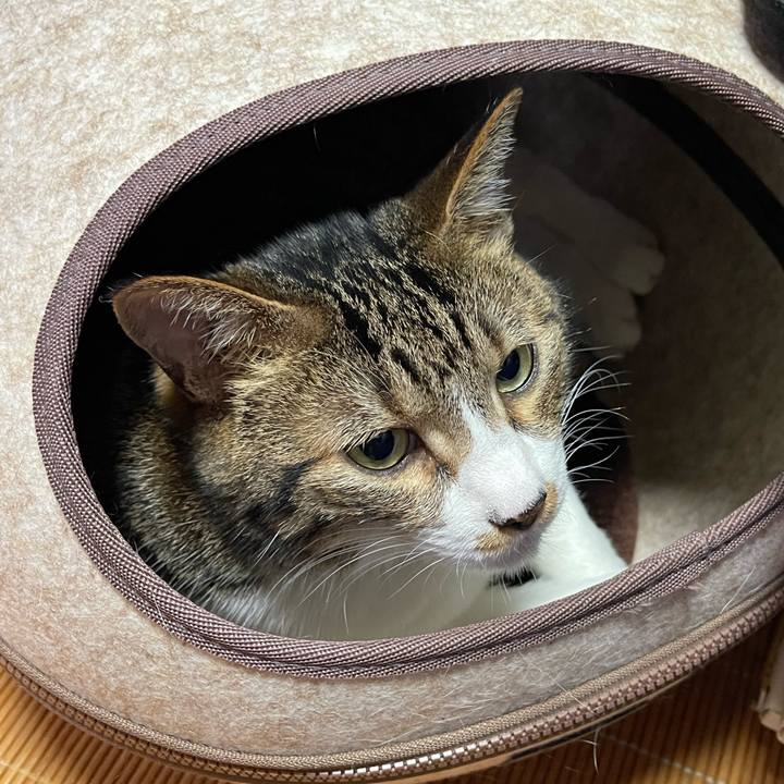 F4735761 4c87 4957 8901 7c87727f0215 1752706384635