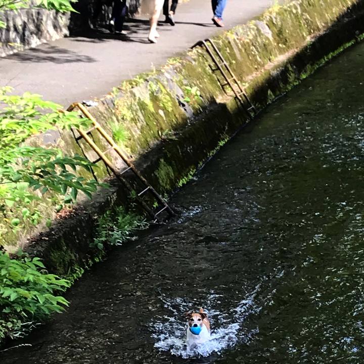 F4736029 f416 46e8 9c55 1992911a4534 1530075679029