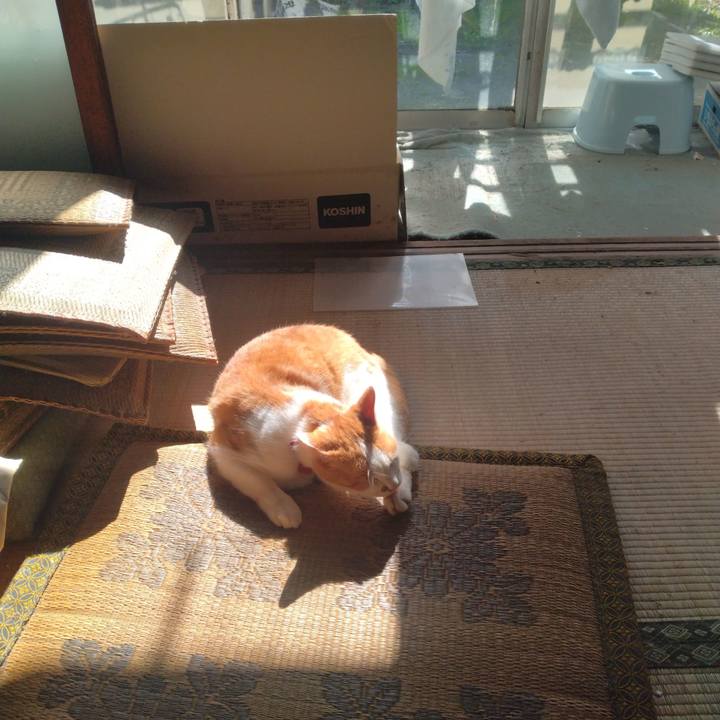 F4736057 7830 4e7a b981 9f4998a2459f 1761817298689