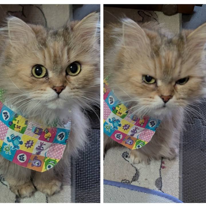 F473914a b98e 4a02 8798 176731167437 1743203075275