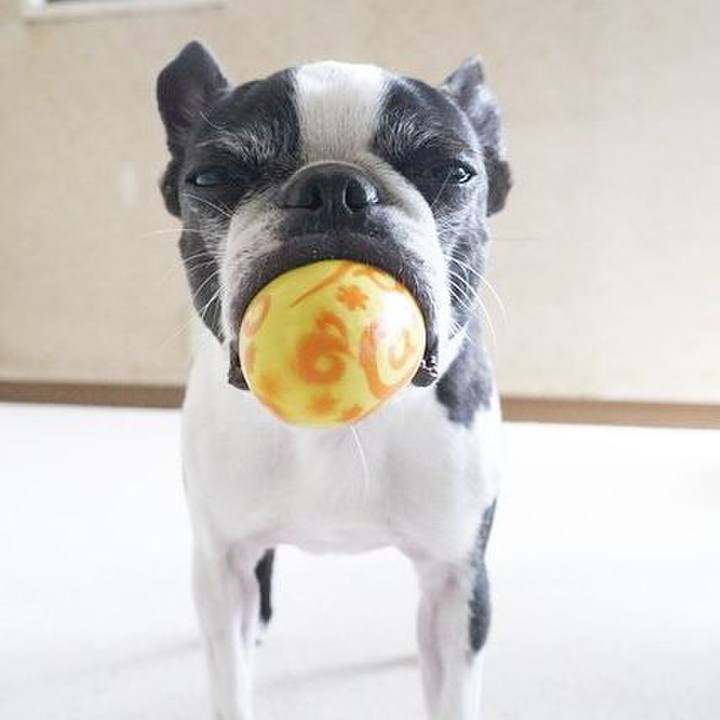 F473cd40 cb5e 49a2 9777 ee85eff55262 1523851338241