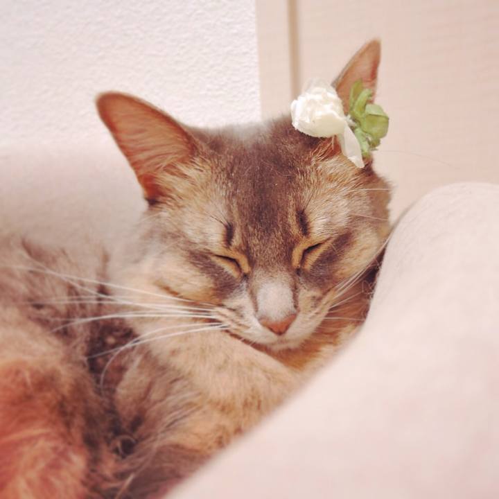 F473db6f 0bfe 4032 9982 76e52063e26f 1542500160389