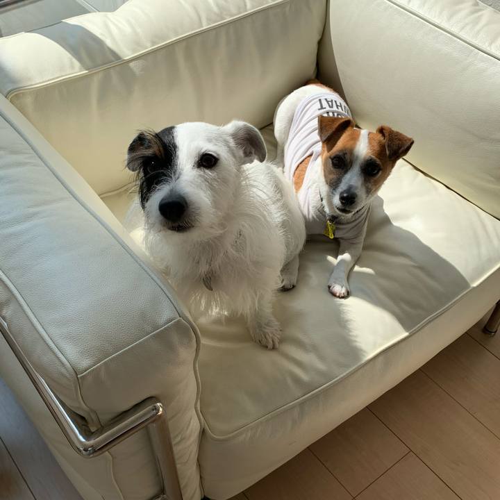 F473df39 b095 449c a48f 104f26560fcb 1569810723462