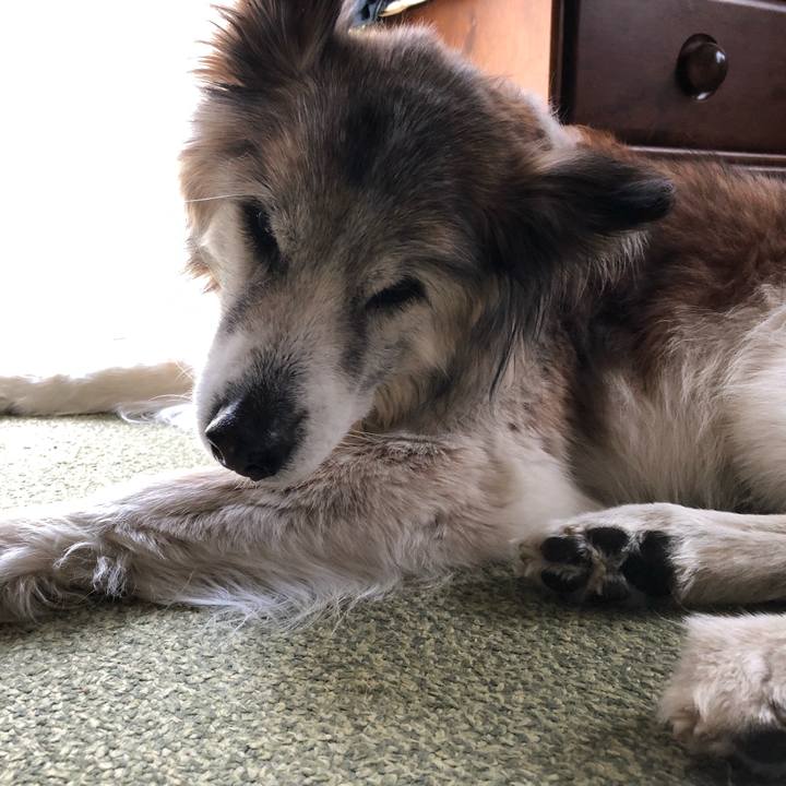 F4742565 7ea9 48d4 95f6 132e9cade10f 1555297160458