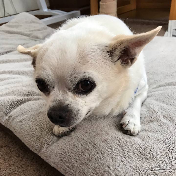 F47441db 8f76 40f3 bb67 b1d61daafe49 1597059469260