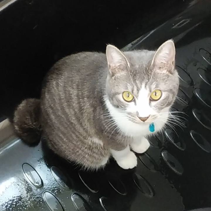 F47454ff 6479 4b87 aebb 591280bf22e0 1582155372170