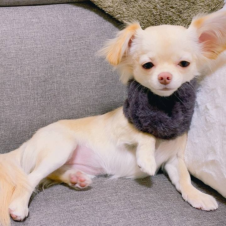 F47498b0 0984 406f ab69 471e17861ed6 1609147562359