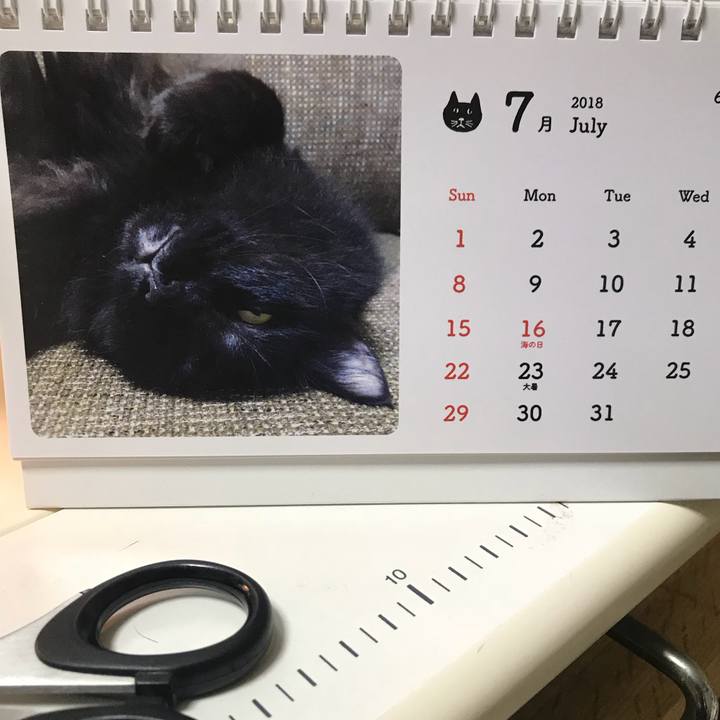 F474a5eb 4374 4262 99c5 ce198db76271 1530543613164