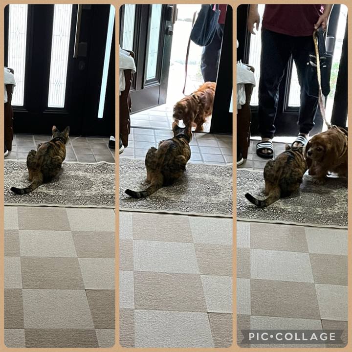 F474ef7a bbc6 450f ad3c 43f093052c7c 1719440645930