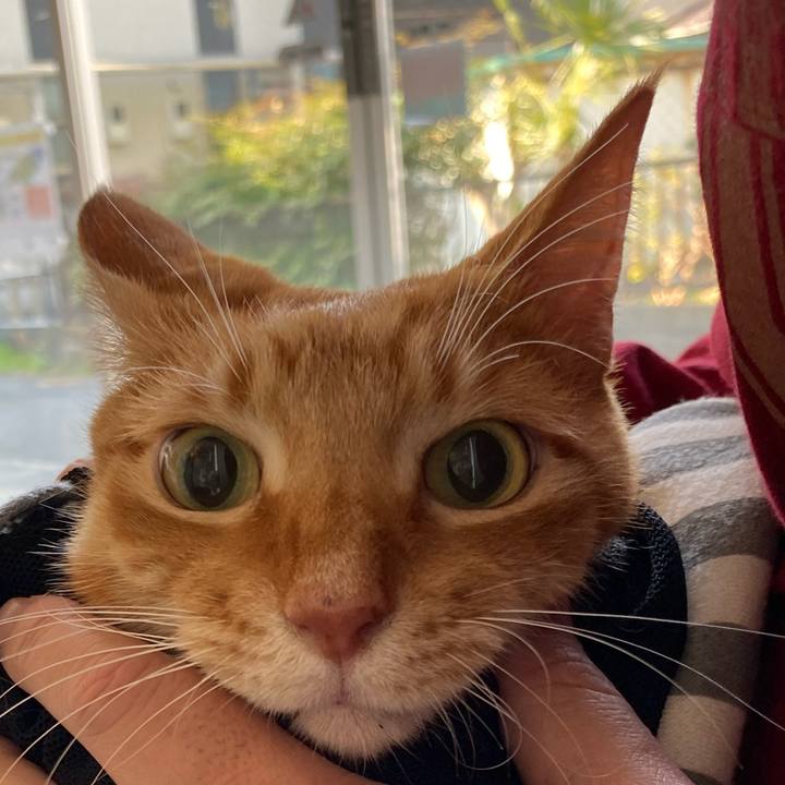 F474faa5 bf81 4100 9181 5abe0bb69d01 1741491809628