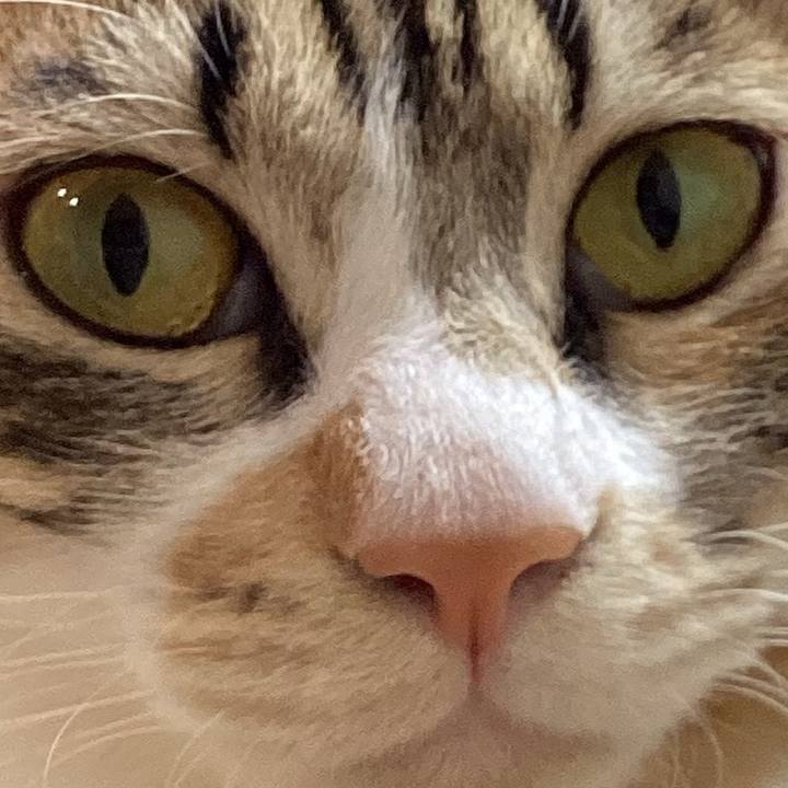 F475083c 6be2 4a80 b5eb 9d7685207568 1667602203367