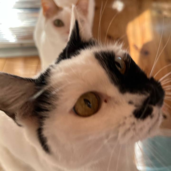 F475313c 22f0 4d68 ac93 476d78ae567f 1768048120012