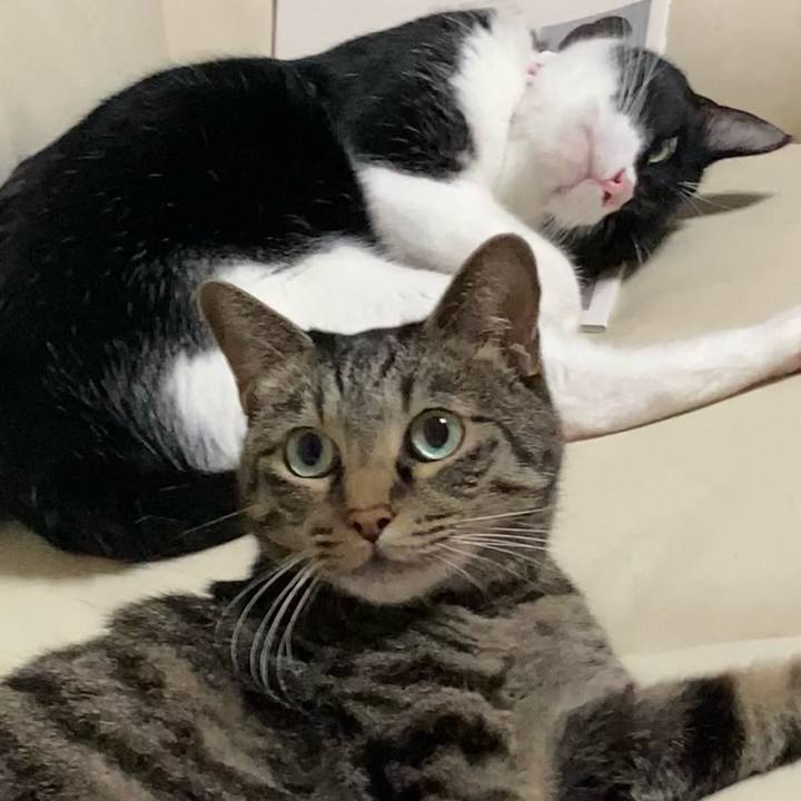 F4754cdd 96ac 47d1 b8ea dfcc3c6cdcd5 1659623549157