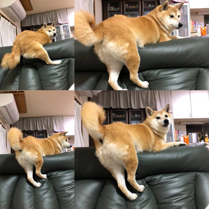 F4755b04 d8a0 4607 baf3 0a62953eae03 1585657993877