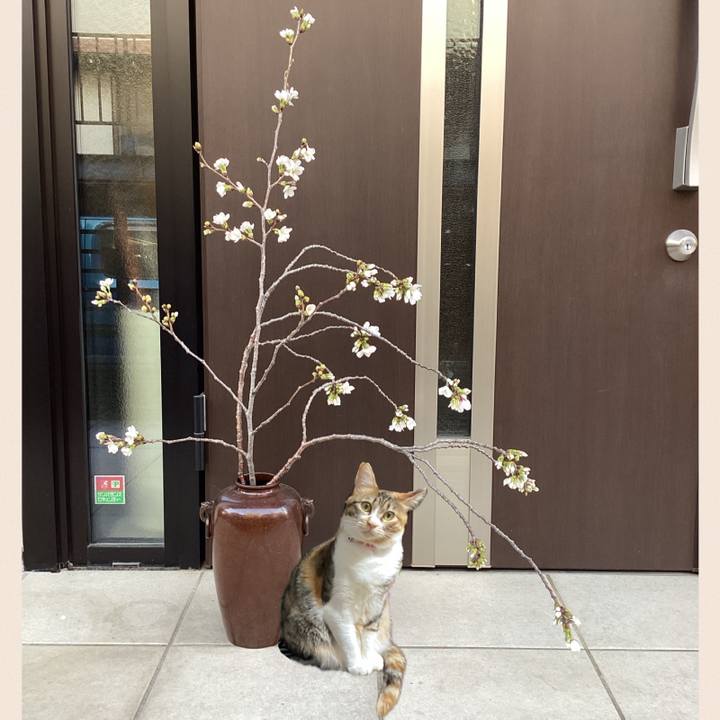 F4757892 94a4 4ffd 8f2e 2abc81a4c424 1712007480752