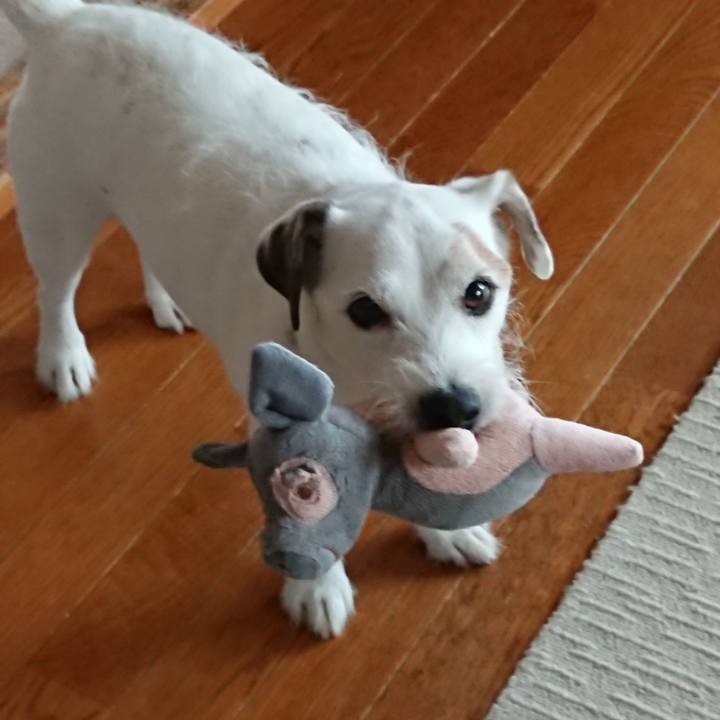 F4758dcc c039 4468 b30e 276f4a7a66e6 1569972383536