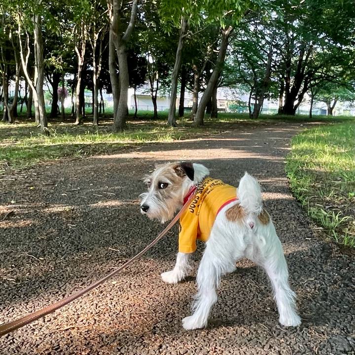 F4762a0e b0ce 47ae bd5b 8b0641f174f0 1652863295543