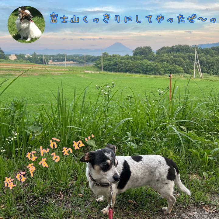 F4764a7e 3f41 4fa1 a86d d126cf2b1efa 1720461670333