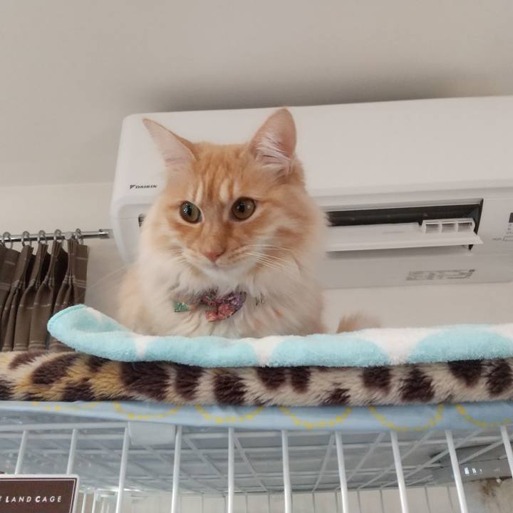 F4764faf 0391 423b a98b 207fe6adf874 1645750593651