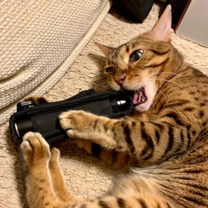 F4766ebf ddf6 42a9 9ffb 2b3819cd2802 1567725694326